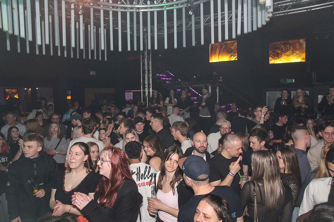 RADSPITZ live im Schwingen Nightlife