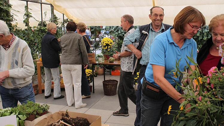 Bei der Pflanzentauschbörse findet jeder, was er sucht. Foto: Heike Beudert