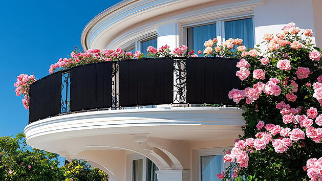 Flexible Solarmodule eignen sich perfekt f&uuml;r kleine Balkonkraftwerke, um auch auf begrenztem Raum umweltfreundliche Energie zu erzeugen.