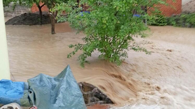 Flut im Garten. Foto: T. Erdmann