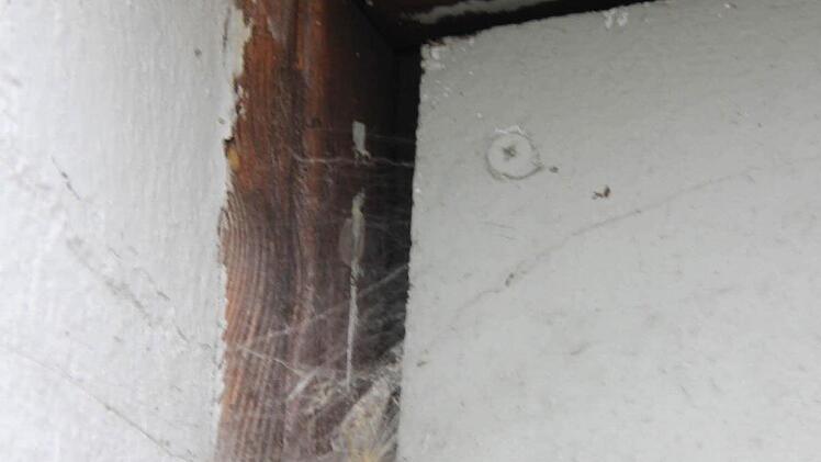An der Tür sind alte Spinnweben. (Foto: Friedwald Schedel)