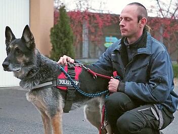 Schäferhund Sam lebt bereits über die Hälfte seines Lebens im Tierheim Coburg.  Fotos: Cindy Dötschel