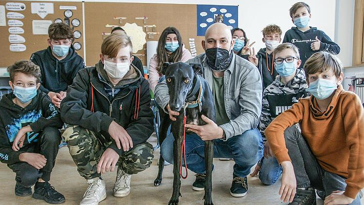 Alexander Kociper und die Sch&uuml;ler der 7b der Mittelschule Bad Br&uuml;ckenau lieben Charlie. Der Greyhound bringt Abwechslung, aber auch Ruhe in den Schulalltag.