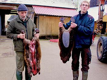 Diese zwei stattlichen Biber hat Simon Jakob (rechts, im Bild mit Vater Walter) in einer Nacht auf einem Weiherdamm geschossen. Foto: Andreas Dorsch