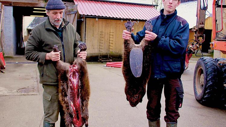 Diese zwei stattlichen Biber hat Simon Jakob (rechts, im Bild mit Vater Walter) in einer Nacht auf einem Weiherdamm geschossen. Foto: Andreas Dorsch