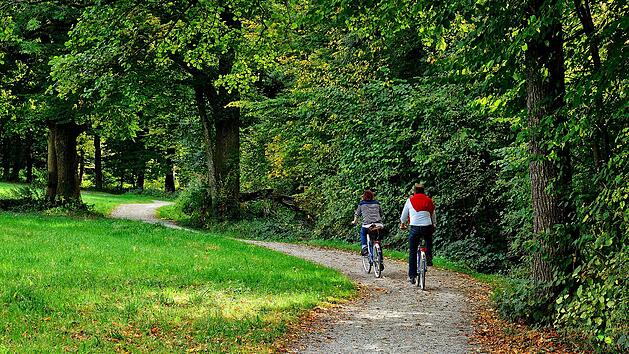 Radfahren ist gesund und gut für die Umwelt: Hierfür bietet die Aktivregion Oberfranken eine Vielzahl an Radrouten und Touren mit beeindruckenden Highlights. Foto: pixabay/Manfred Antranias Zimmer