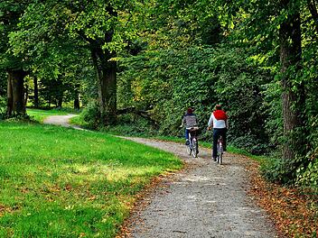Radfahren ist gesund und gut für die Umwelt: Hierfür bietet die Aktivregion Oberfranken eine Vielzahl an Radrouten und Touren mit beeindruckenden Highlights. Foto: pixabay/Manfred Antranias Zimmer