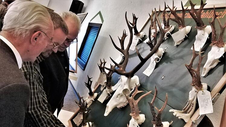 Besucher der Hegeschau betrachten ausgestellte Jagdtrophäen. Foto: Sigismund von Dobschütz