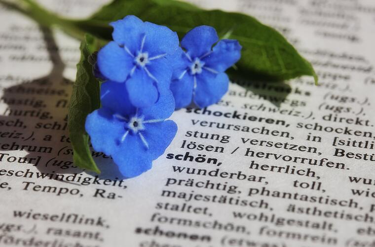 Bayreuth: Das sind die "schönsten deutschen Bücher" - Bibliothek präsentiert Sieger