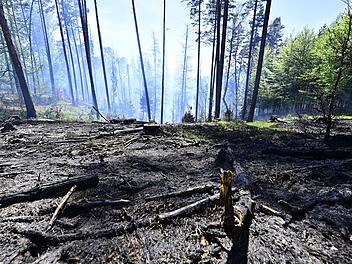 Waldbrand im Nationalpark B&ouml;hmische Schweiz