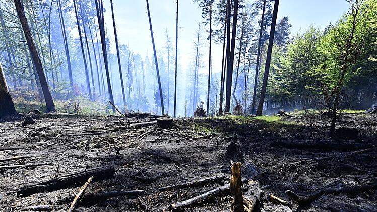 Waldbrand im Nationalpark B&ouml;hmische Schweiz