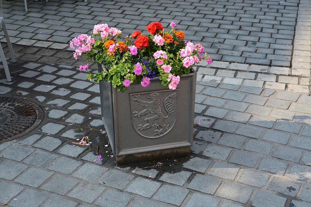 12.08.2015 Fotoreportage Bad Rodach