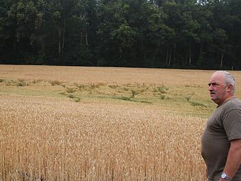 Talbauer Friedrich Alefeld hat Probleme mit Wildschweinen. Tagsüber verstecken sie sich im Wald und fallen nachts in die Felder ein. Thomas Malz