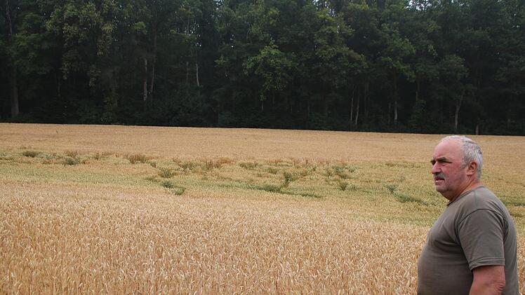 Talbauer Friedrich Alefeld hat Probleme mit Wildschweinen. Tagsüber verstecken sie sich im Wald und fallen nachts in die Felder ein. Thomas Malz