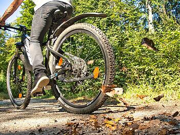 Trekking-E-Bikes sind beliebt, aber teuer.