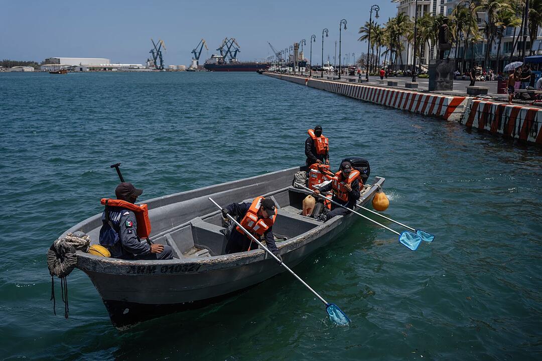 &Ouml;lpest in Mexiko