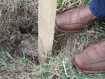 Dies ist einer der Steine, die die Grenze des umstrittenen Grundstück in der Gemarkung Seinsheim festlegen.  Foto: Archiv