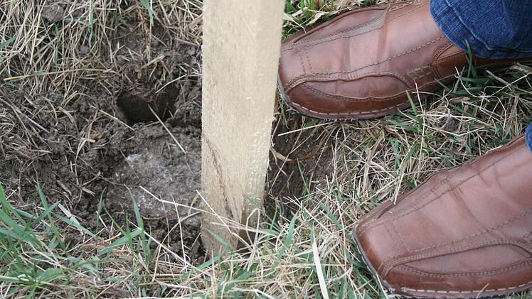 Dies ist einer der Steine, die die Grenze des umstrittenen Grundstück in der Gemarkung Seinsheim festlegen.  Foto: Archiv