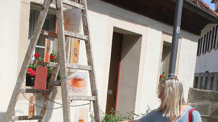 Die Installation mit dem Titel "Given up Places" von Inge-Rose Lippok (69) kam bei kleinen und großen Kunstfans an: Die Künstlerin aus Hannover, die an den Akademien und Braunschweig und Karlsruhe studiert hat, färbte Plexiglasscheiben rückseitig ein und projizierte verlassene Vogelnester in Collagentechnik in die Scheiben. Foto: Sonny Adam