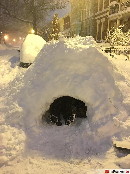 Iglu in Washington