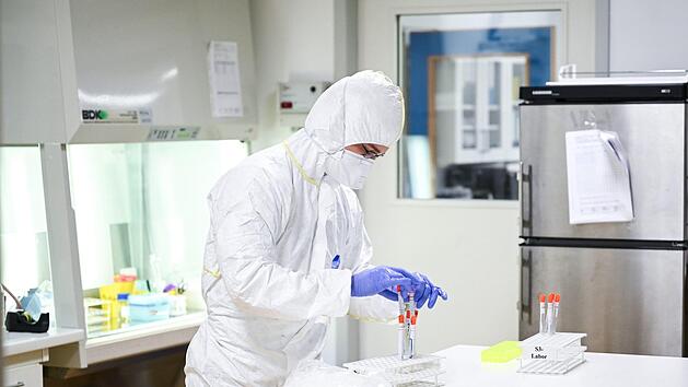 Symbolfoto: Felix K&auml;stle, dpa