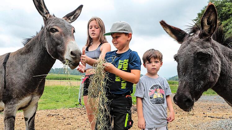 Ein Paradies für Mensch und Tier: Eva und Oskar (die Esel)  mit  Hanna, Noah und Jakob.