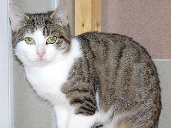 Jannika Foto: privat