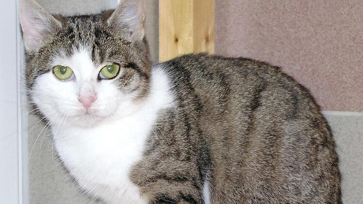 Jannika Foto: privat