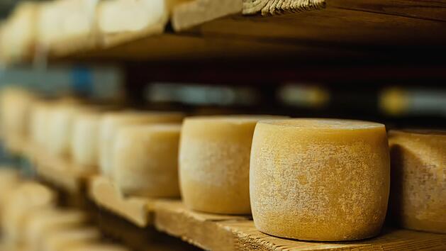 Molkerei ruft K&auml;se zur&uuml;ck: Listerien m&ouml;glich - Blutvergiftung und Hirnhautentz&uuml;ndung drohen