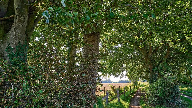 Naturpark, Urlaub, Meer, Schlei, Wandern, Segeln, Baden, Boot, Bootfahren, Radfahren, Radeln, Fahrrad, Freizeit
