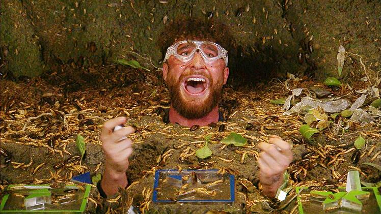 Umut lieferte eine der unterhaltsamsten Dschungelpr&uuml;fungen seit langem. Doch es war seine letzte. Die Zuschauer w&auml;hlten ihn aus dem RTL-Dschungelcamp raus!