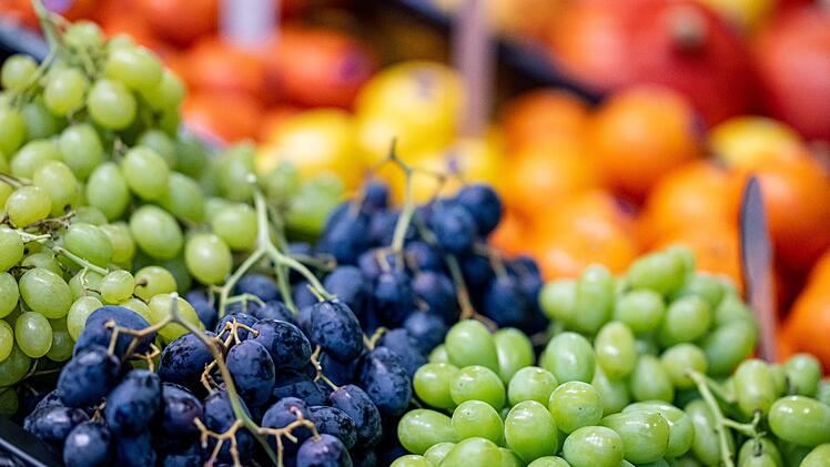 Messe Fruit Logistica