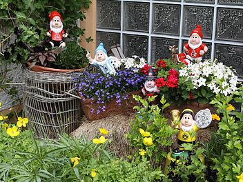 Die Familie Kübrich hatte neben ihrem Garten mit Gewächsen aus Italien und Japan auch eine Fan-Meile angepflanzt. Passend zu den Farben der Bundesliga-Mannschaften gab es Gartenzwerge und entsprechende Blumen. Fotos: Michael Wunder