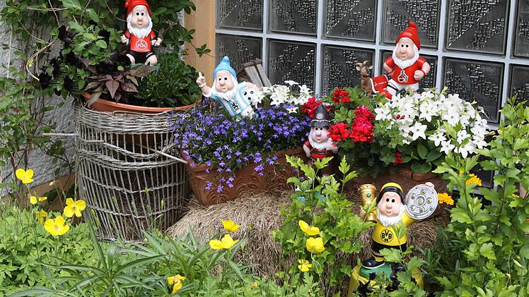 Die Familie Kübrich hatte neben ihrem Garten mit Gewächsen aus Italien und Japan auch eine Fan-Meile angepflanzt. Passend zu den Farben der Bundesliga-Mannschaften gab es Gartenzwerge und entsprechende Blumen. Fotos: Michael Wunder