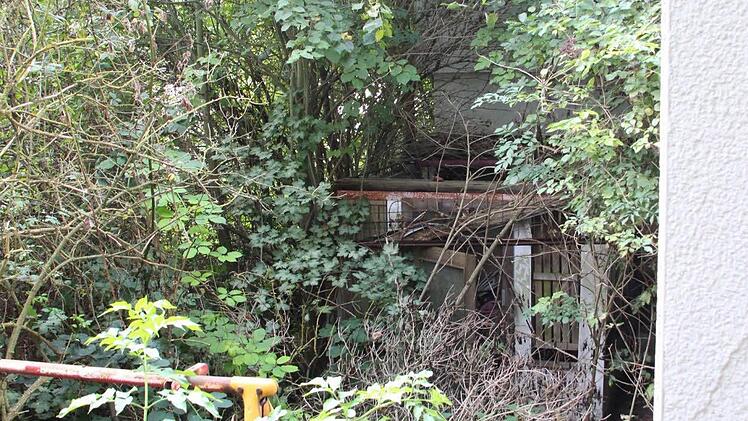 Blick in den ehemaligen Terrassenbereich.