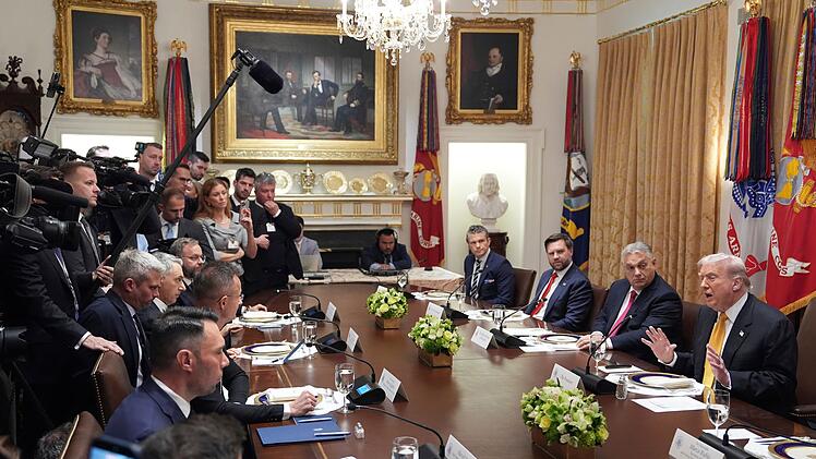 Ungarns Regierungschef Orban im Weißen Haus