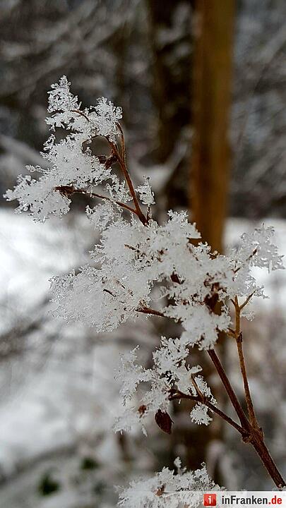 Eis und Schnee in Franken - die schönsten Winterleserfotos