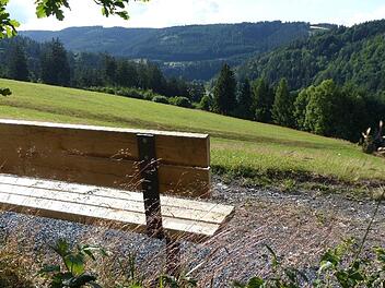Die Diskussion um den Frankenwald als möglicher Nationalpark wird in den kommenden Wochen vor allem die Kreispolitiker berühren. Im Juli sollen die vier Bewerberregionen Stellung nehmen, ob sie in die nächste Planungsphase eintreten möchten.  Foto: Archiv