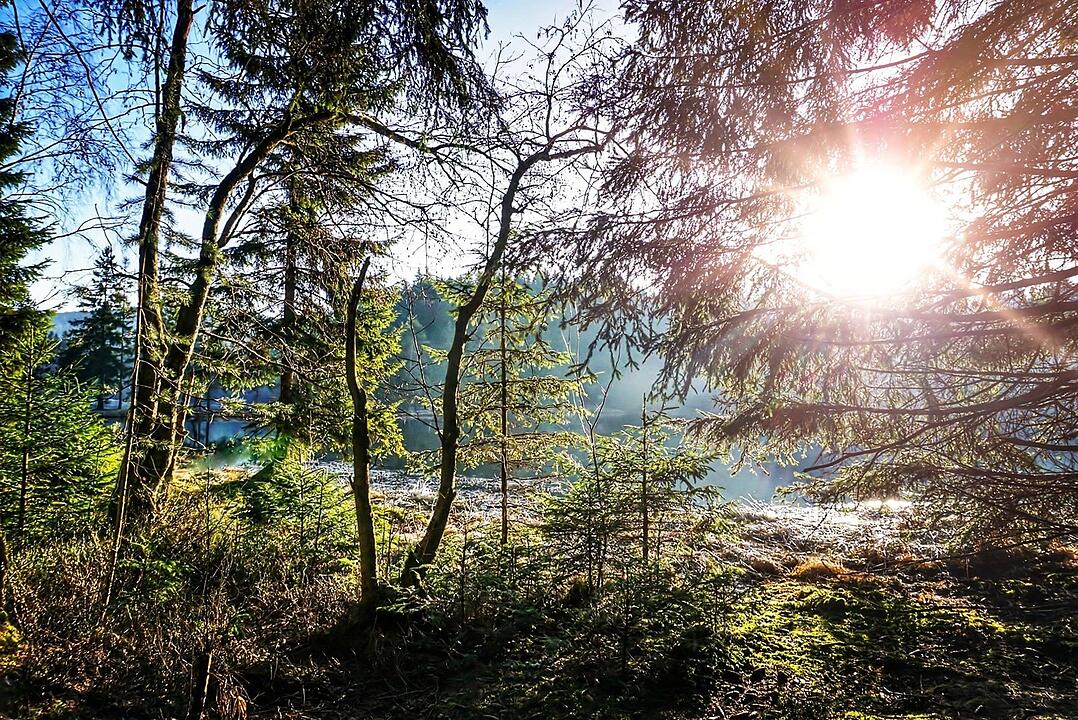 Die schönsten Fotos im April aus Bayreuth und Umgebung