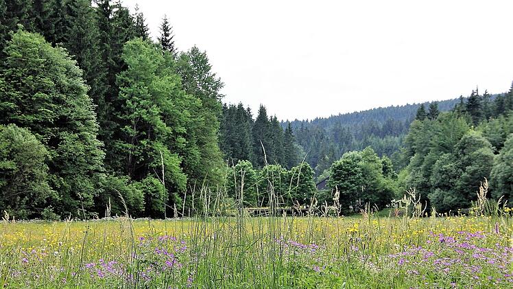 Warum in die Ferne schweifen, wenn die heimische Natur mit jeder Postkartenansicht mithalten kann?