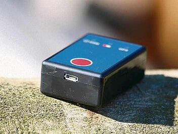 Unsichtbarer Wächter: Der GPS-Sender wird in einer Kerbe im Stamm versteckt. Fotos: dpa