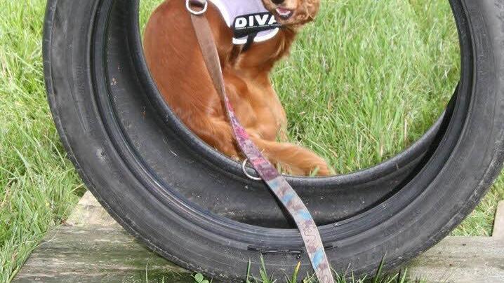 Luna ist eine Diva, aber eine, die sehr sympathisch ist.