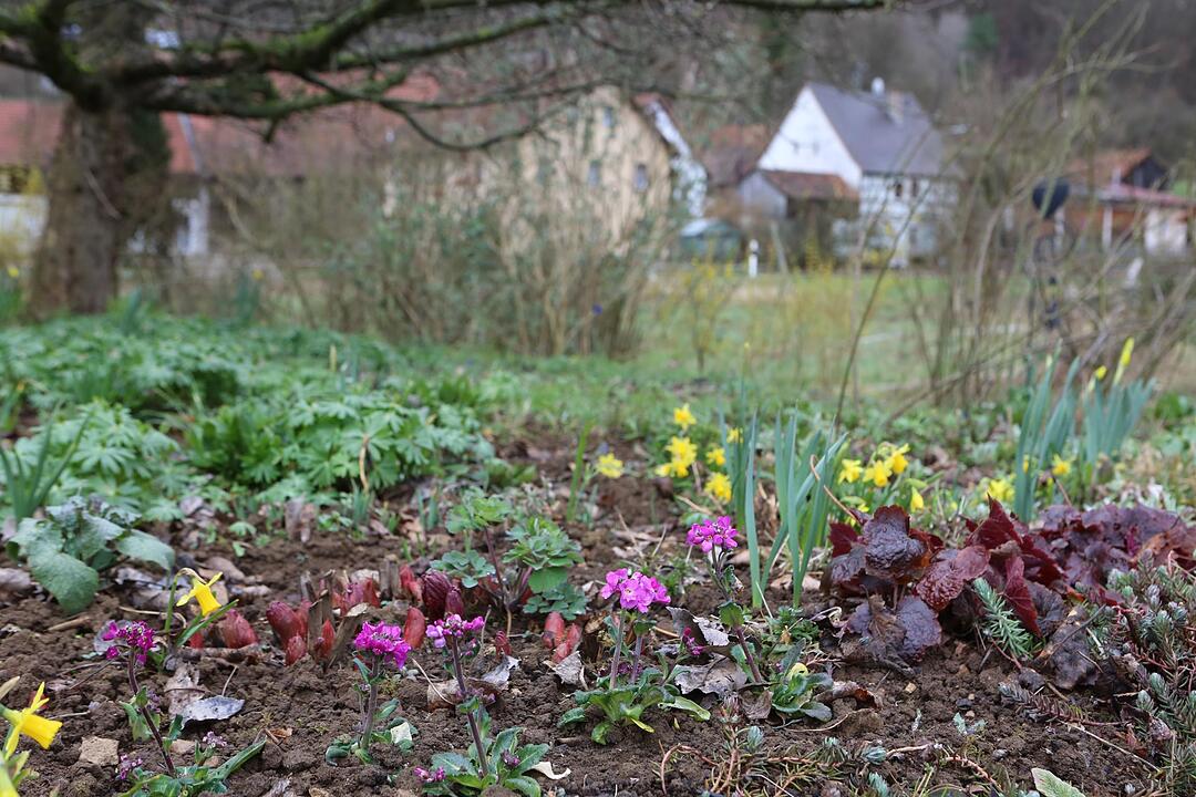 SoS Poppendorf bei Pretzfeld im  Lkr. Fo; Foto: Barbara Herbst