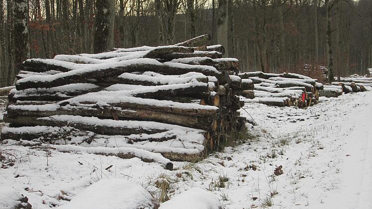Der Fuchsstädter Wald wirft wieder Gewinn ab. Ermäßigte Holzpreise und ein unverkauftes Vorjahres-Kontingent halfen dabei.  Winfried Ehling