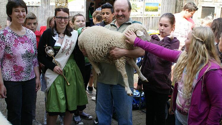 Sogar die Bayerische Wollkönigin Kerstin Müller kam zum Kindertag auf den Hof Wächter in Wülflingen. Unser Bild zeigt von links Irmhild Hill-Wächter, Wollkönigin Kerstin Müller und Schafhalter Gerhard Wächter sowie einige Schüler der 5b der Mittelschule Haßfurt. Foto: Sabine Weinbeer