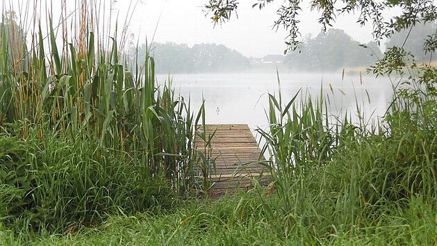 Abstecher an den See Foto: G&uuml;nter Reinlein