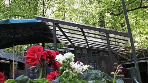 Manche Dachgestaltung treibt wilde Blüten.
