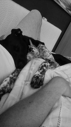 Foto: Carina Guth