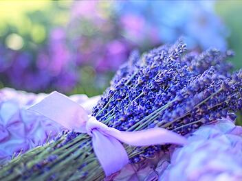 Das Linalool im Lavendel wirkt erwiesenermaßen entspannend und beruhigend.