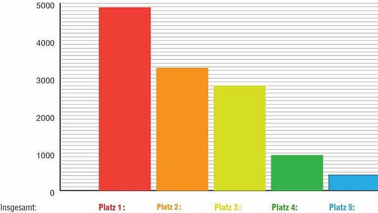 Das Ergebnis der Internetabstimmung im Dorfwettbewerb.